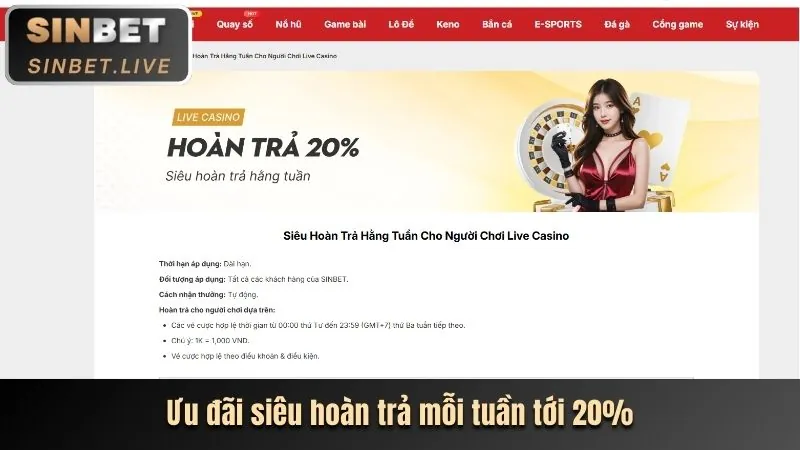 Mẹo chơi casino từ chuyên gia